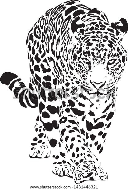 vector graphic converter free vector graphic converter free