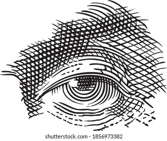 Vector illustration of black - white open eye