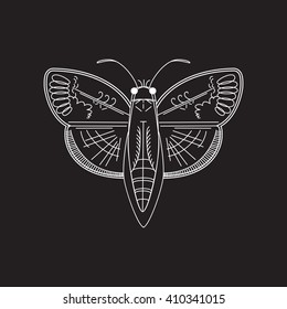 Vector illustration. Black and white outline butterfly.