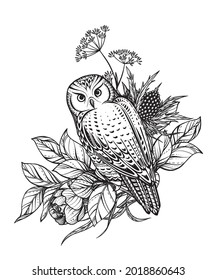 Vector illustration of black and white owl, flowers and herbs, branches isolated on white background. Mystical totem symbol. Hand drawn picture for tattoo, coloring book