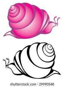 Vector illustration of black & white and purple snail.