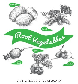 Vector illustration black and white set with vegetables. Different sort of vegetables on white background