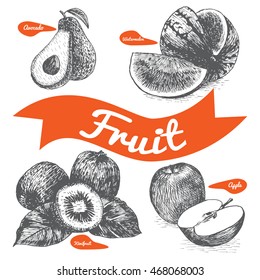 Vector illustration black and white set with fruits. Various of  fruits on white background