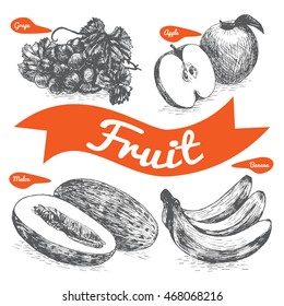 Vector illustration black and white set with  fruits and berries. Various of  fruits and berries on white background