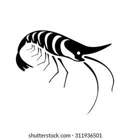 Vector illustration of black and white shrimp. It can be used for tattoo template.