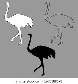 Vector Illustration Black White Silhouette Ostrich Stock Vector ...