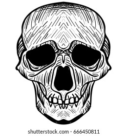 vector illustration black and white skull tattoo