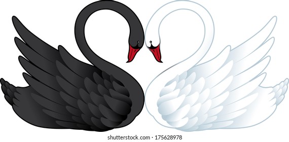 Vector illustration of black and white swans  in love isolated on white background.