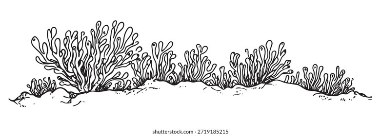Ilustración vectorial en blanco y negro de la vegetación de arrecife de coral submarino en el fondo del mar