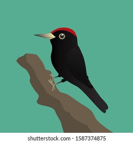 

A vector illustration of a black woodpecker on a tree trunk with a green background