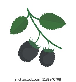 Vector Illustration of Blackberries. Simple flat icon of Berry on a white background.