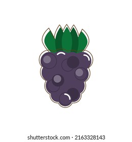 Vector illustration of blackberry in flat style. Summer sticker.