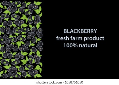 vector illustration of blackberry and leaf design with lettering blackberry background black and white and berry and text fresh farm product 100% natural EPS10