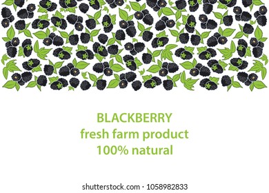 vector illustration of blackberry and leaf design background black and berry and text blackberry fresh farm product 100% natural EPS10