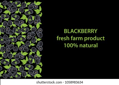 vector illustration of blackberry and leaf design background black and berry and text blackberry fresh farm product 100% natural EPS10