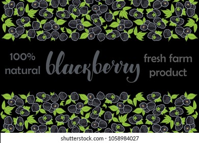 vector illustration of blackberry and leaf design with lettering blackberry background black and berry and text fresh farm product 100% natural EPS10
