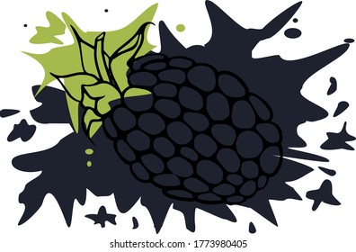 vector illustration of blackberry on a dark background