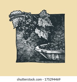 Vector  illustration of a blackberry stylized as engraving
