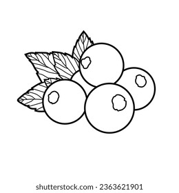 Vector illustration of blackcurrant lineart isolated for coloring on white background