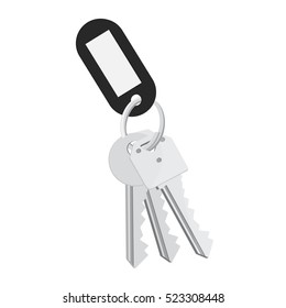 Vector illustration blank black tag and keys. Bunch of keys with keychain isolated on white background