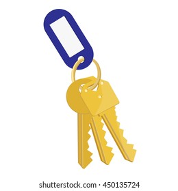 Vector illustration blank blue tag and golden keys. Bunch of keys with key chain isolated on white background