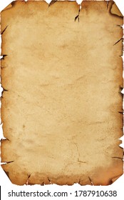 Vector illustration of blank old antique vintage brown paper parchment scroll with copy space