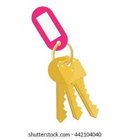 Vector illustration blank pink tag and golden keys. Bunch of keys with keychain isolated on white background