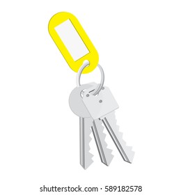 Vector illustration blank yellow tag and keys. Bunch of keys with keychain isolated on white background