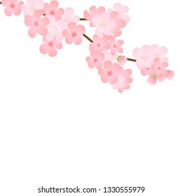 Vector illustration of bloom branch with pink flowers, buds, petals flying. Realistic design isolated transparent background. Blooming tree twigs set, blossom collection. Flower tree branches.