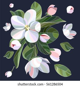 Vector illustration with blooming apple branches