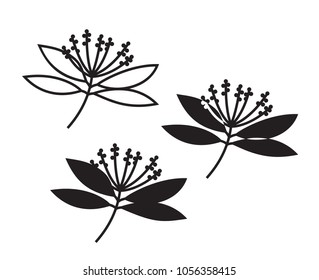 Vector illustration of blooming avocado tree branch isolated on white background. Icon set.
