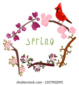 Vector illustration of blooming branches and cardinal bird. Spring design. Lettering. Isolated on white background.