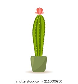Ilustración vectorial de un cactus floreciente al estilo de las caricaturas aislado en un fondo blanco.