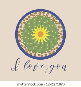 Vector illustration with blooming cactus and inscription I love you. Love message. Greeting card happy Valentine's Day. Romantic background.