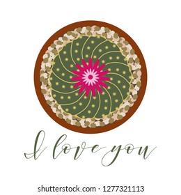 Vector illustration with blooming cactus and inscription I love you. Love message. Greeting card happy Valentine's Day. Romantic background.