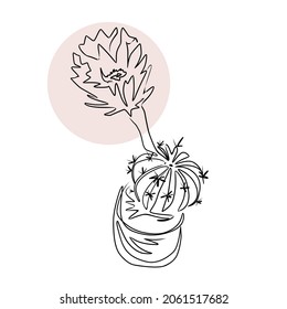 Vector illustration of blooming cactus.  Line art