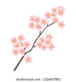 Vector illustration of blooming cherry branch.