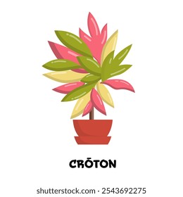 Vector illustration of blooming croton with bright leaves in red pot, volumetric object, isolated on background. Home floral template with green, red, yellow foliage. House plant design for sticker