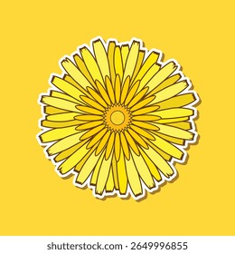 Vector illustration of blooming dandelion flower on yellow background
