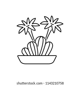 Vector illustration of blooming echinopsis cactus in the pot. Desert plant for terrarium and rock garden. Line icon of succulent. Isolated object on white background. 