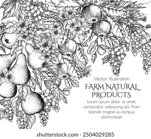 Ilustración vectorial de un huerto de frutas en flor. Manzanas, peras y uvas en estilo de grabado	