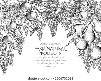Vector illustration of a blooming fruit garden. Apples, pears and grapes in engraving style