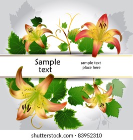 vector illustration of blooming lilies