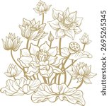 Vector Illustration with Blooming Lotus Flowers and Leaves