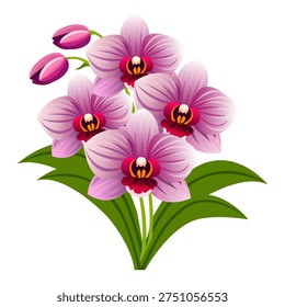 Vector illustration of blooming orchid with pink petals, buds, and green leaves. Perfect for nature, botany, floral, and decorative design themes.