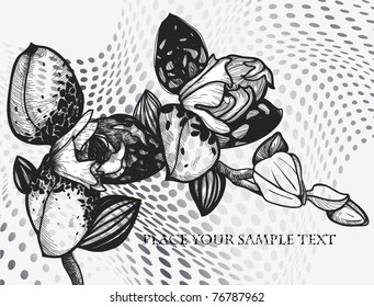 vector illustration of blooming orchids on an abstract background