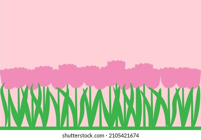 Vector illustration of blooming pink tulip flowers garden background.