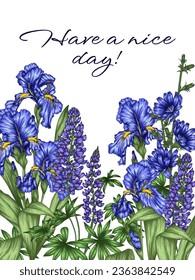 Vector illustration of a blooming purple-blue garden. Chicory flowers, irises and lupins