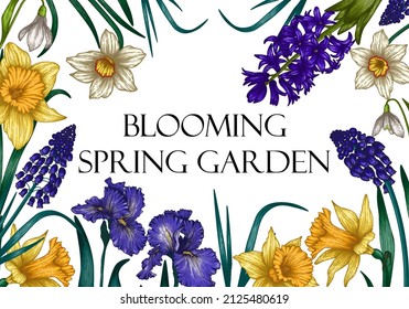 Vector illustration of a blooming spring garden frame. Banner template. Graphic linear colored flowers. Daffodils, irises, muscari, hyacinths, snowdrops