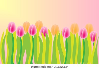 Vektorgrafik blühender Tulpen.